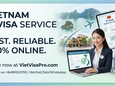 Professional Vietnam E-visa Services at VietVisaPro